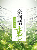 奈何情深歌曲